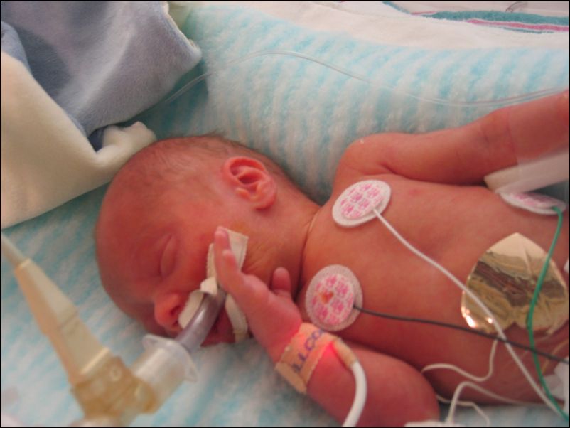 Babies 011